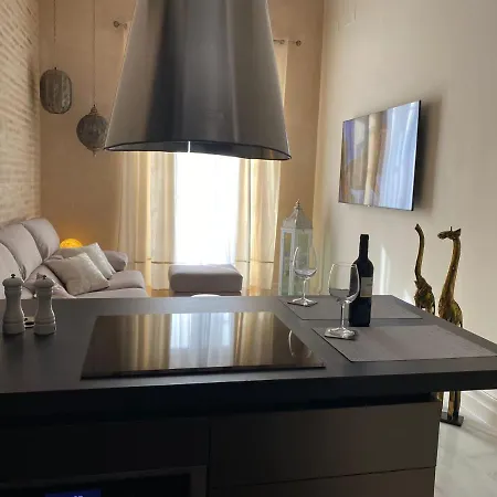 Appartamento Inncádizpalacio Conde Casa-brunet