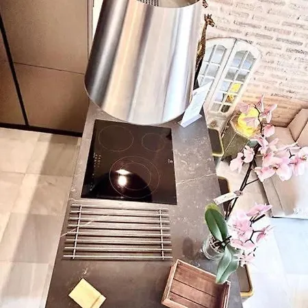 Inncádizpalacio Conde Casa-brunet Appartamento *